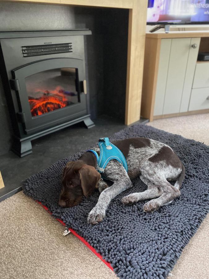 Caorann Lodge, 205 Tummel Valley Питлохри Екстериор снимка